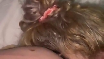 Let Me Suck Your Cock And Make It Cum