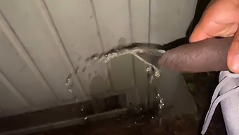 Street Hustler Offers A Woman Money For Public Urination And Nudity