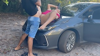 I Had Sex With A Girl On A Public Plate, Eating Her Out And Showing Off My Big Cock